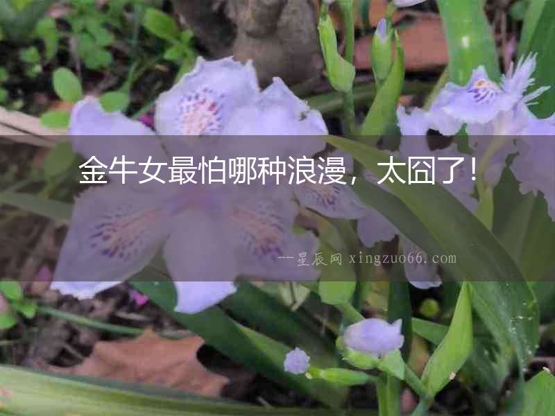 金牛女最怕哪種浪漫，太囧了！