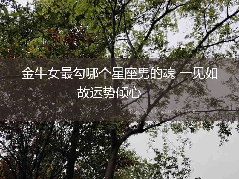 金牛女最勾哪個星座男的魂 一見如故運勢傾心  　　