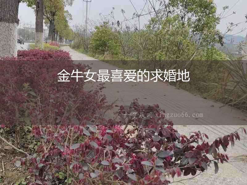 金牛女最喜愛的求婚地