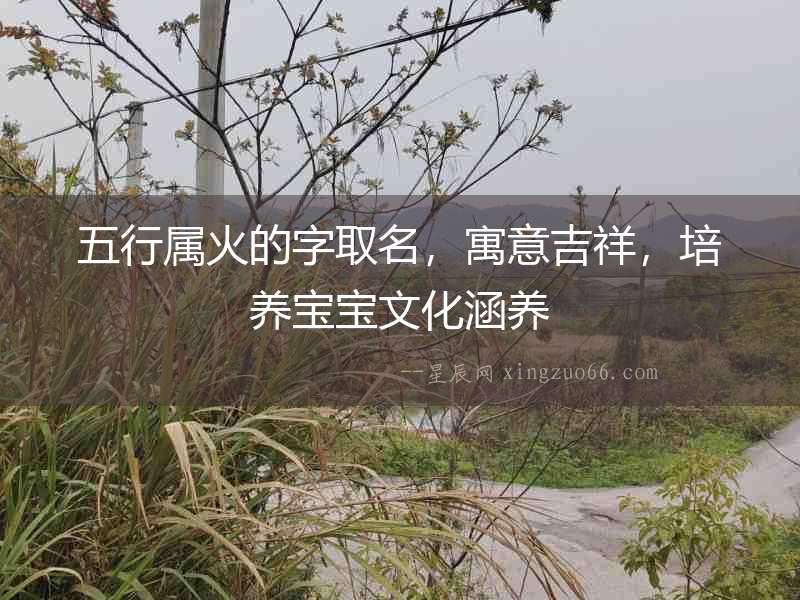 五行屬火的字取名，寓意吉祥，培養寶寶文化涵養