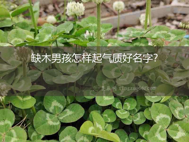 缺木男孩怎樣起氣質好名字？