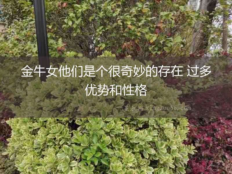 金牛女他們是個很奇妙的存在 過多優勢和性格