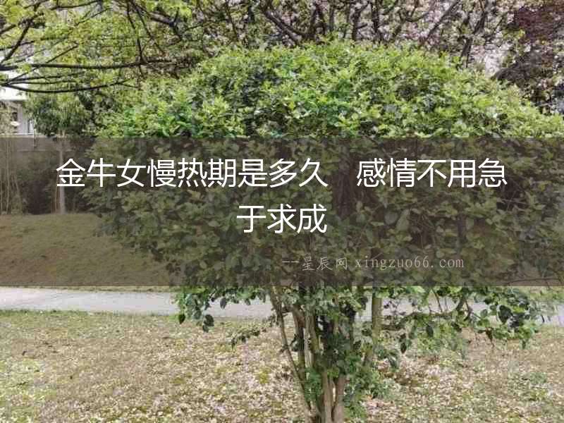 金牛女慢熱期是多久   感情不用急于求成