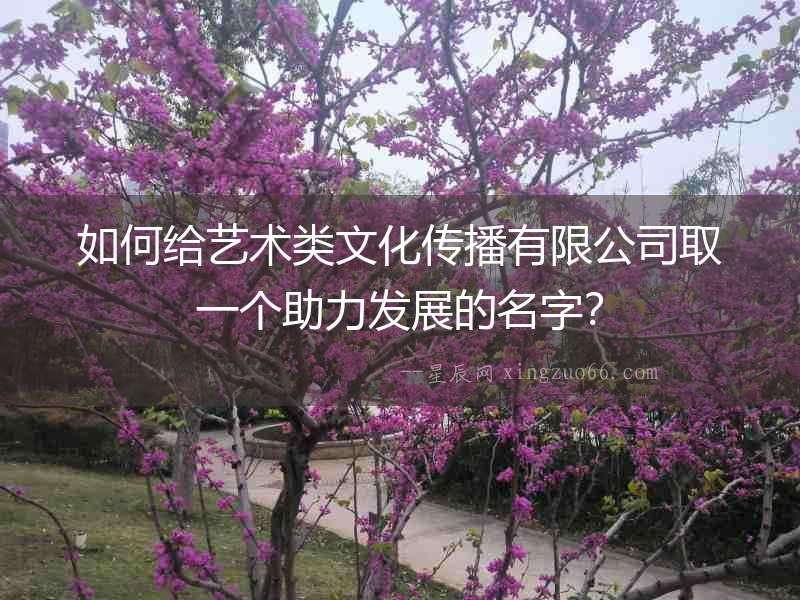 如何給藝術(shù)類文化傳播有限公司取一個助力發(fā)展的名字？