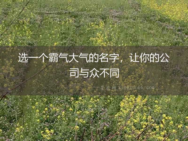 選一個(gè)霸氣大氣的名字，讓你的公司與眾不同
