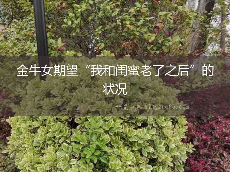 金牛女期望“我和閨蜜老了之后”的狀況