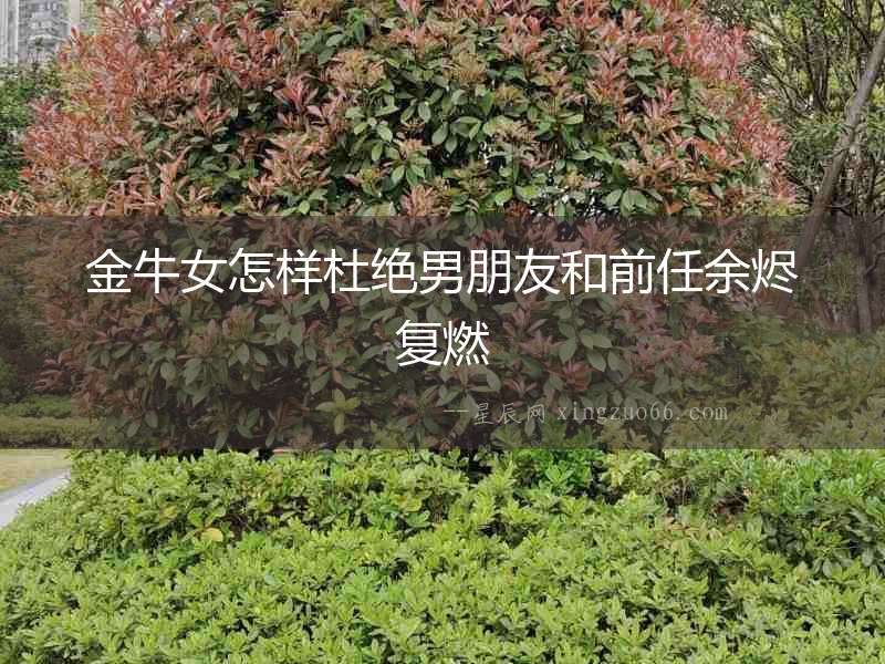 金牛女怎樣杜絕男朋友和前任余燼復燃