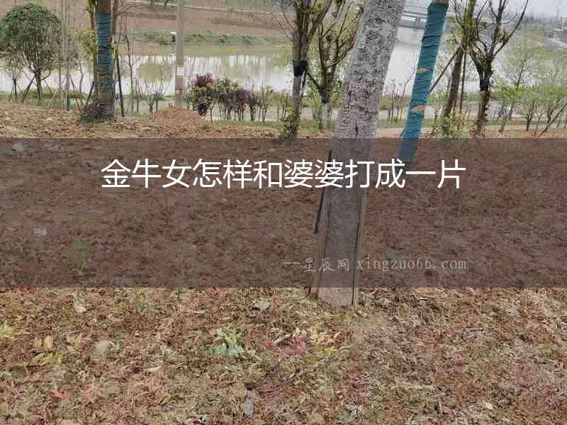 金牛女怎樣和婆婆打成一片