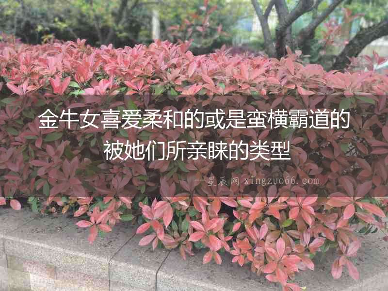 金牛女喜愛柔和的或是蠻橫霸道的 被她們所親睞的類型
