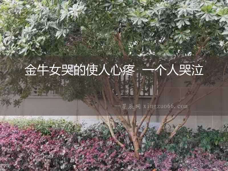 金牛女哭的使人心疼  一個人哭泣