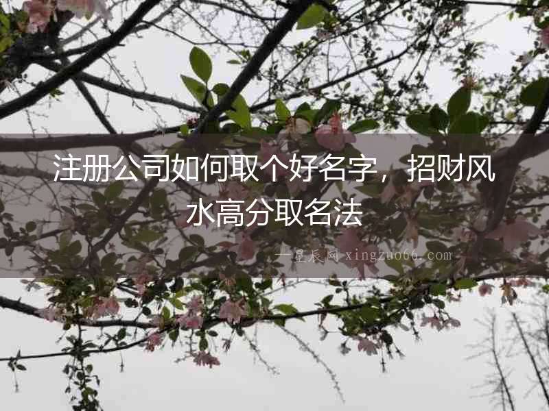注冊公司如何取個好名字，招財風水高分取名法
