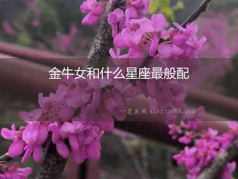 金牛女和什么星座最般配