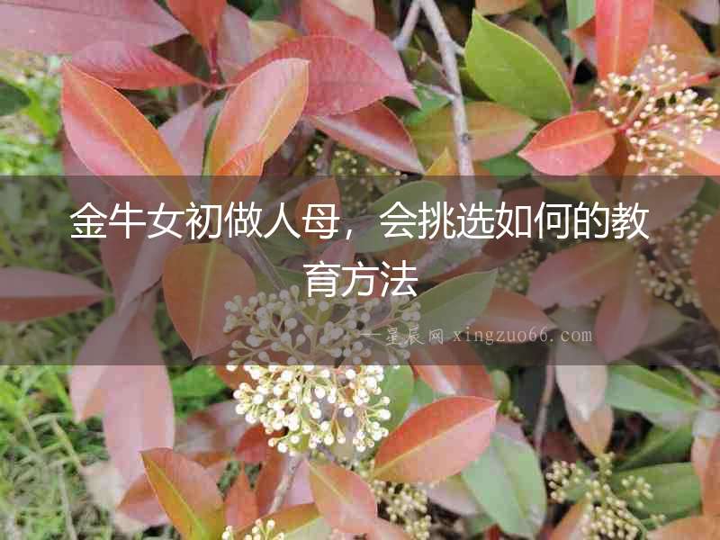 金牛女初做人母，會挑選如何的教育方法