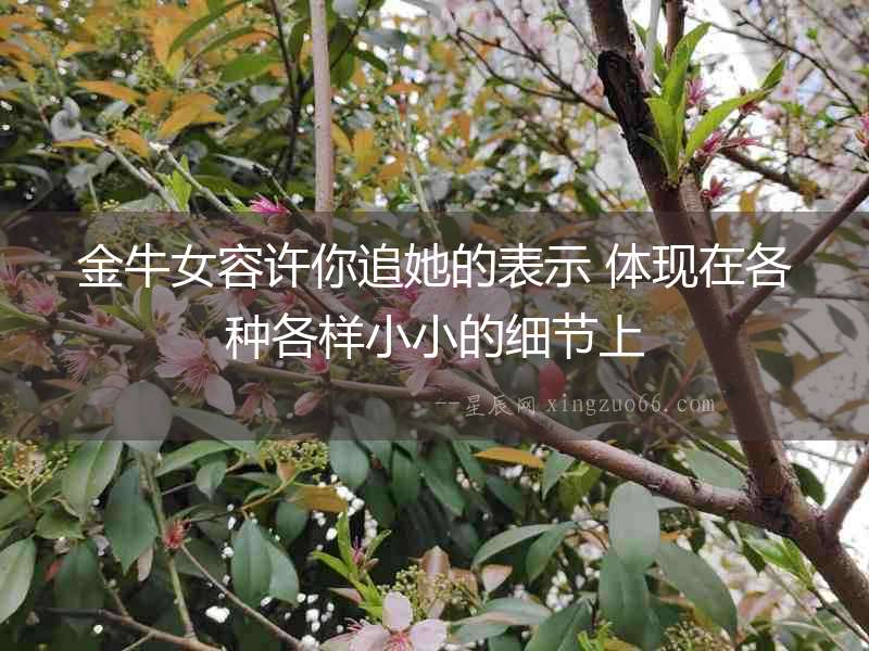 金牛女容許你追她的表示 體現在各種各樣小小的細節上