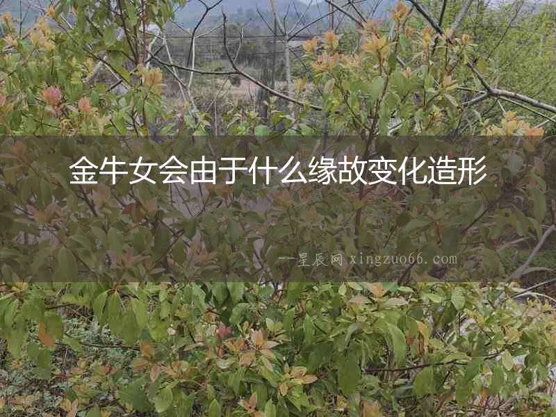 金牛女會由于什么緣故變化造形