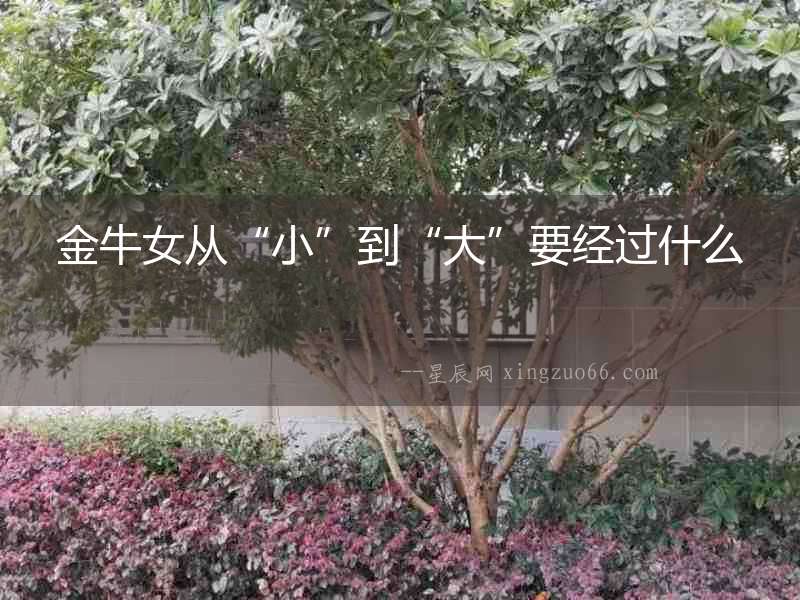 金牛女從“小”到“大”要經過什么