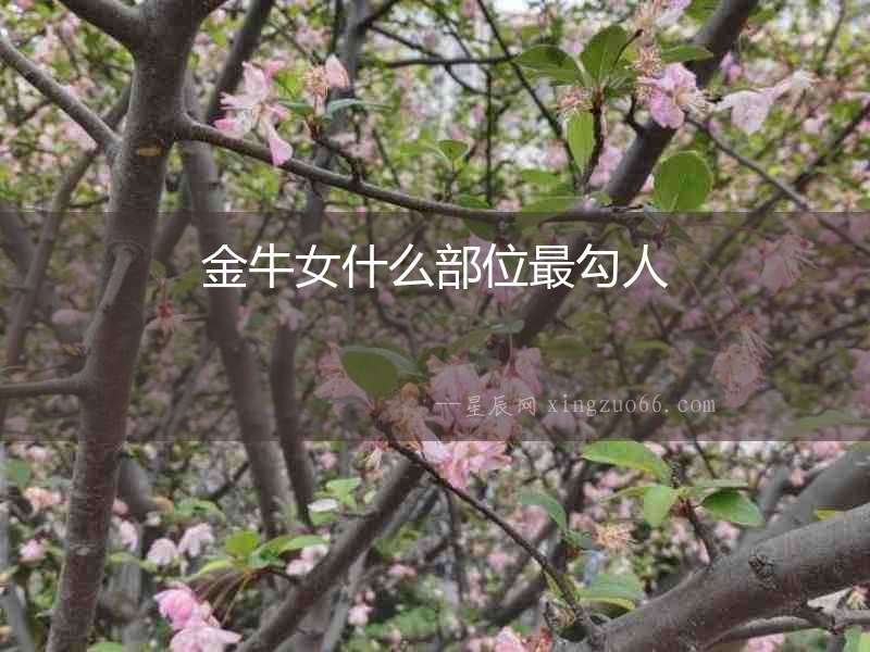 金牛女什么部位最勾人