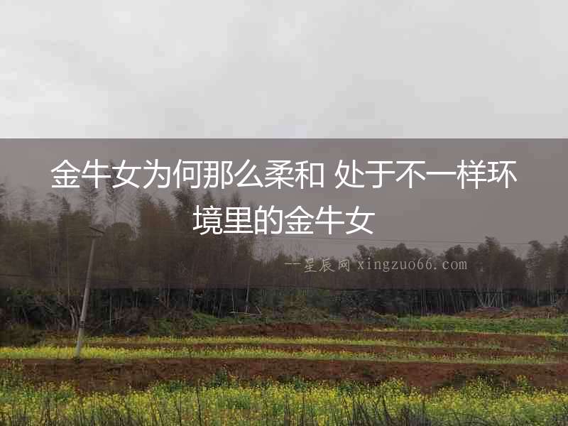 金牛女為何那么柔和 處于不一樣環境里的金牛女
