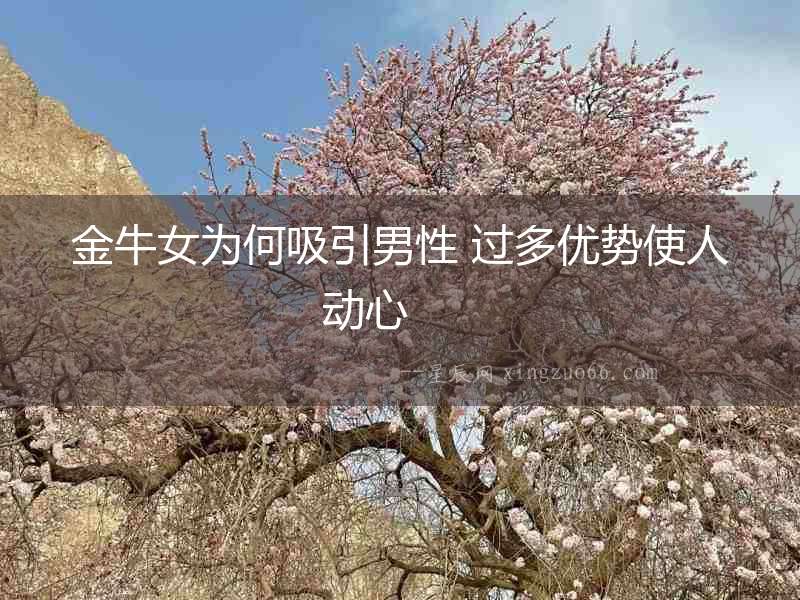 金牛女為何吸引男性 過多優勢使人動心  　　