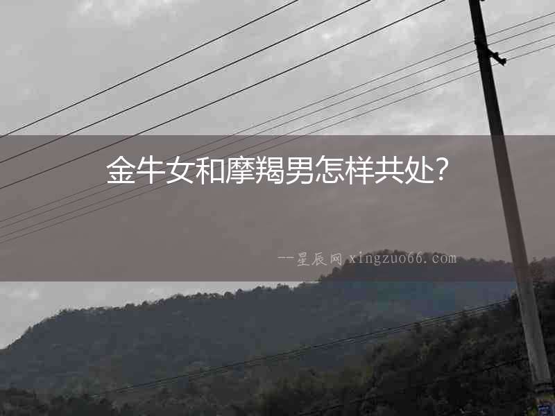 金牛女和摩羯男怎樣共處？
