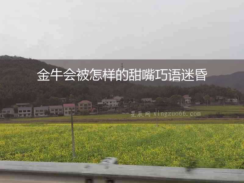金牛會(huì)被怎樣的甜嘴巧語(yǔ)迷昏