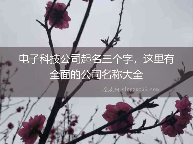 電子科技公司起名三個字，這里有全面的公司名稱大全