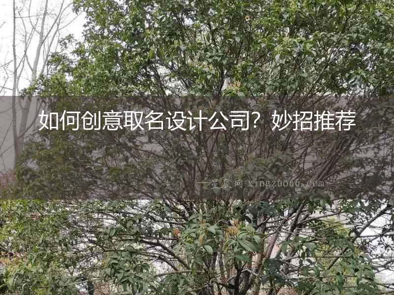 如何創(chuàng)意取名設(shè)計(jì)公司？妙招推薦