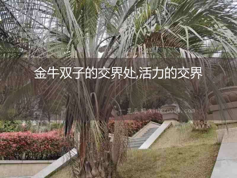 金牛雙子的交界處,活力的交界