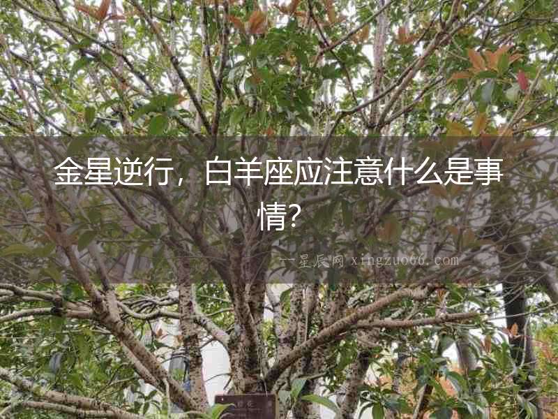 金星逆行，白羊座應注意什么是事情？