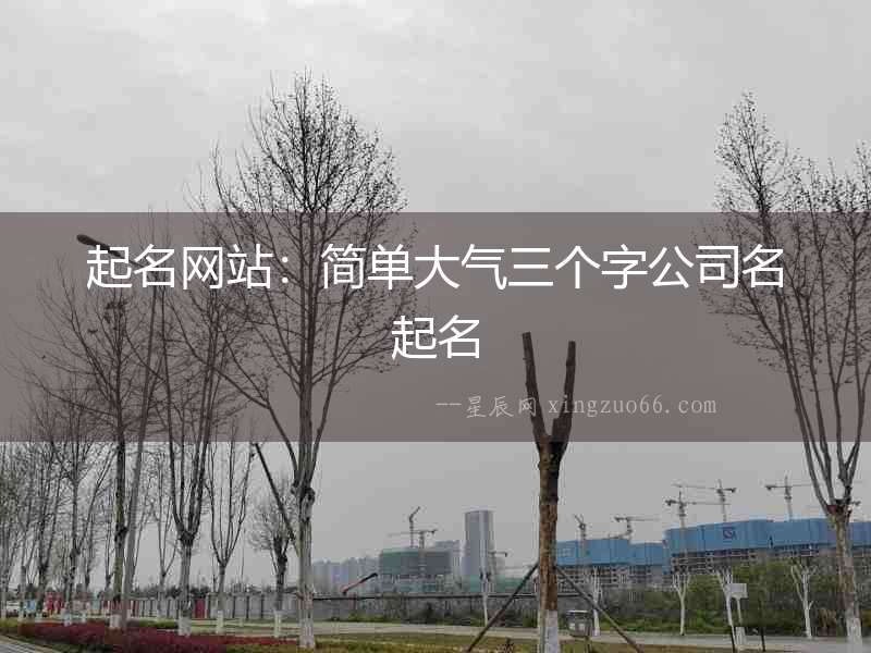 起名網站：簡單大氣三個字公司名起名