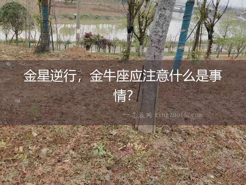 金星逆行，金牛座應(yīng)注意什么是事情？