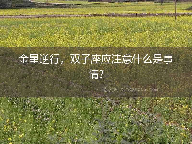 金星逆行，雙子座應注意什么是事情？