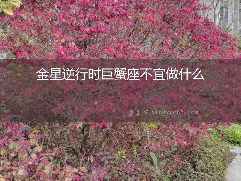 金星逆行時巨蟹座不宜做什么