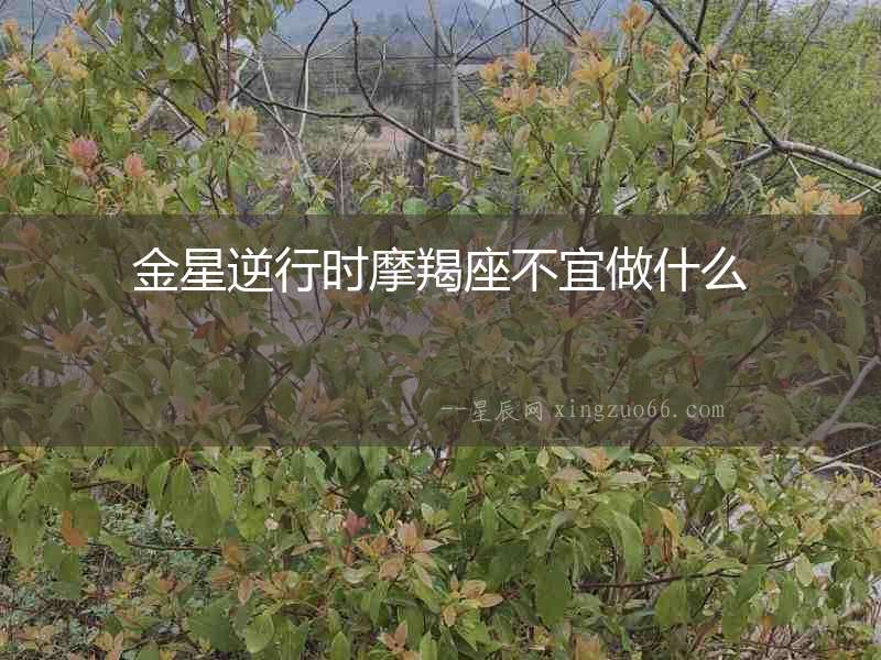 金星逆行時摩羯座不宜做什么