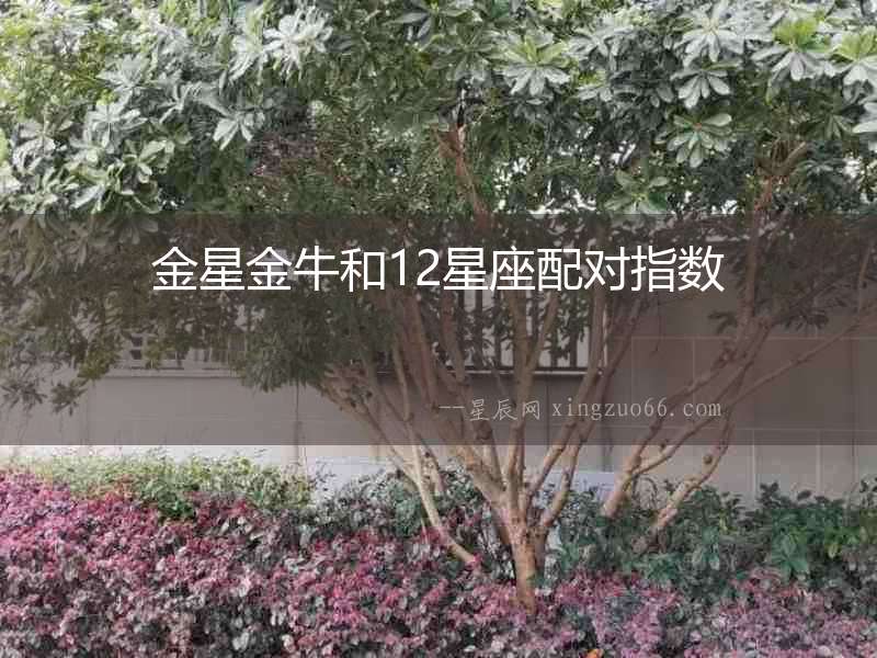 金星金牛和12星座配對指數