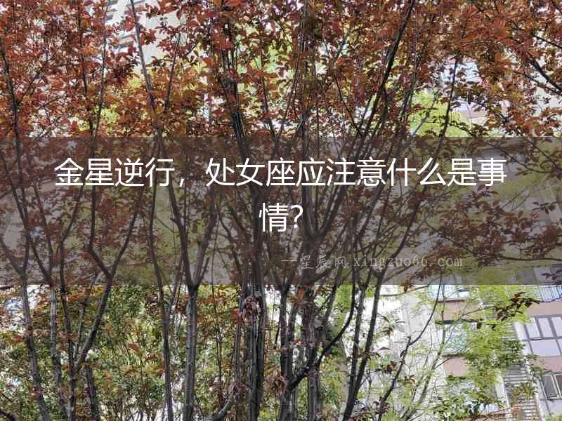 金星逆行，處女座應(yīng)注意什么是事情？