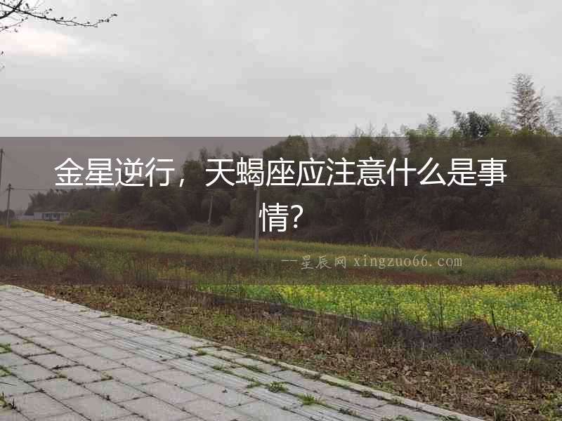 金星逆行，天蝎座應(yīng)注意什么是事情？
