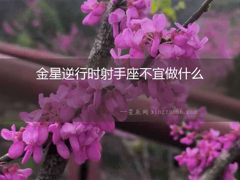 金星逆行時射手座不宜做什么