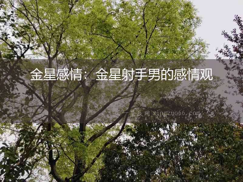 金星感情：金星射手男的感情觀