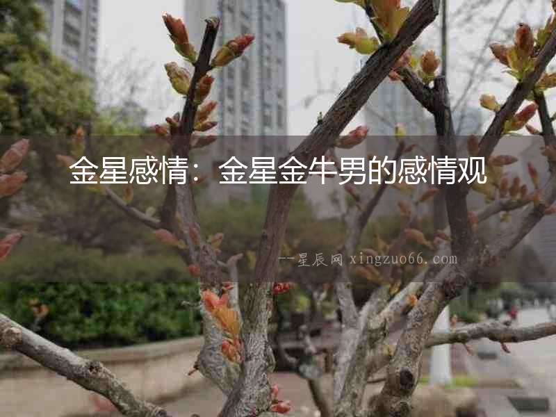 金星感情：金星金牛男的感情觀