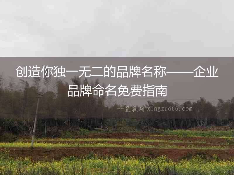 創(chuàng)造你獨(dú)一無(wú)二的品牌名稱——企業(yè)品牌命名免費(fèi)指南