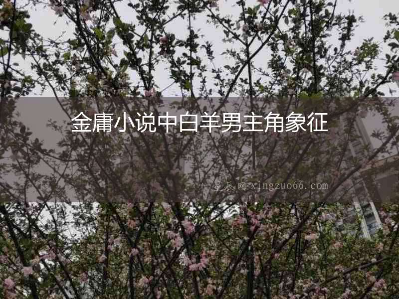金庸小說中白羊男主角象征