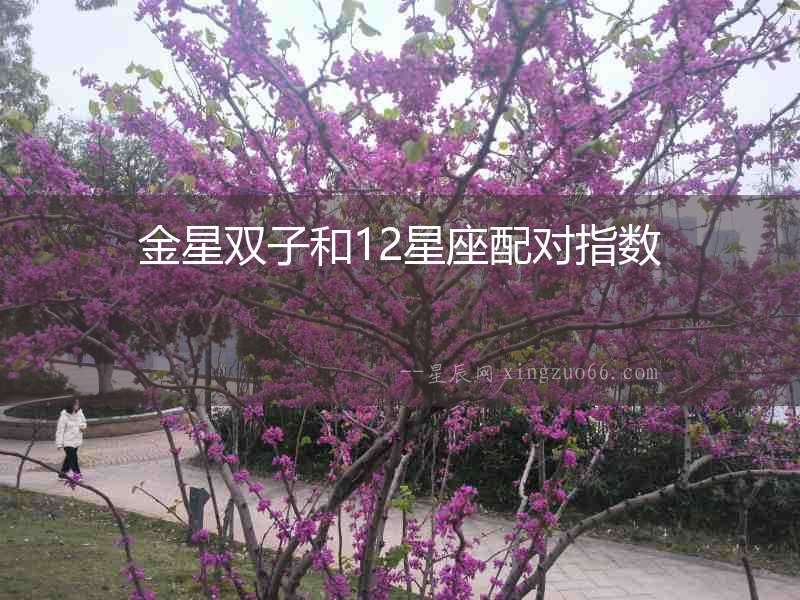 金星雙子和12星座配對指數