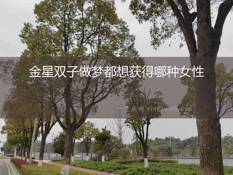 金星雙子做夢都想獲得哪種女性