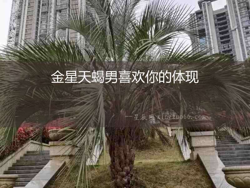 金星天蝎男喜歡你的體現