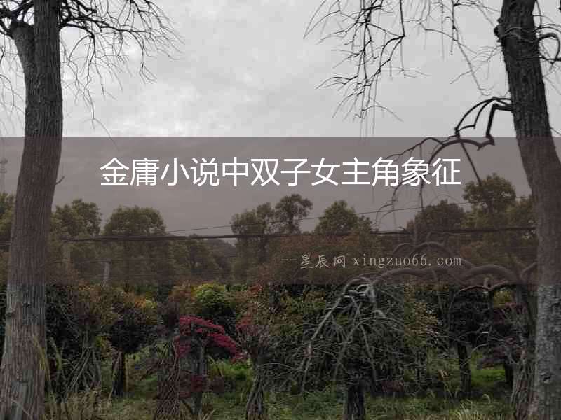 金庸小說中雙子女主角象征