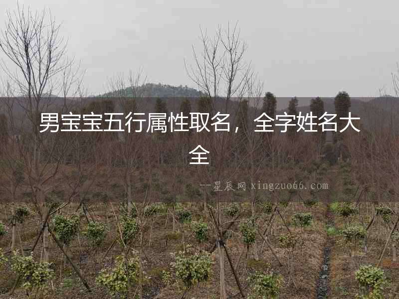 男寶寶五行屬性取名，全字姓名大全