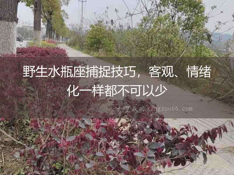 野生水瓶座捕捉技巧，客觀、情緒化一樣都不可以少