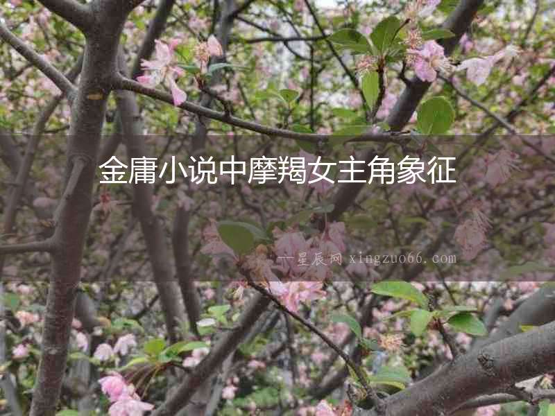金庸小說(shuō)中摩羯女主角象征