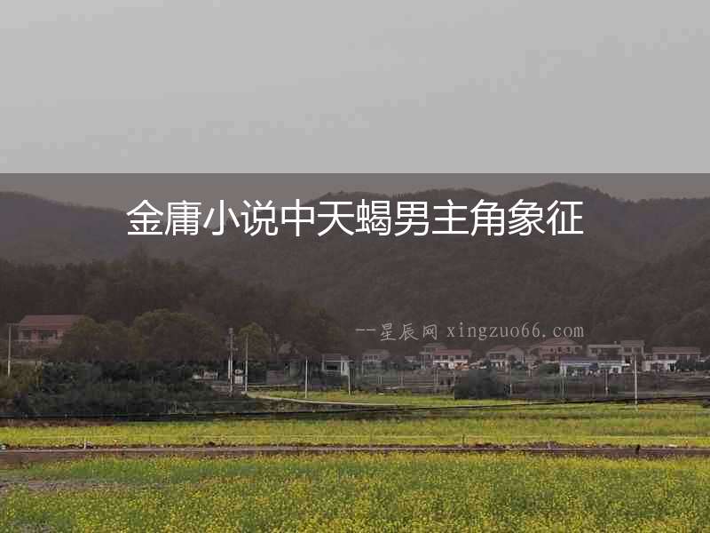 金庸小說中天蝎男主角象征